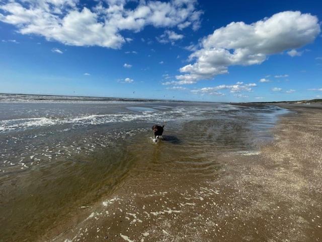 Zeebedstay Noordwijk Dış mekan fotoğraf